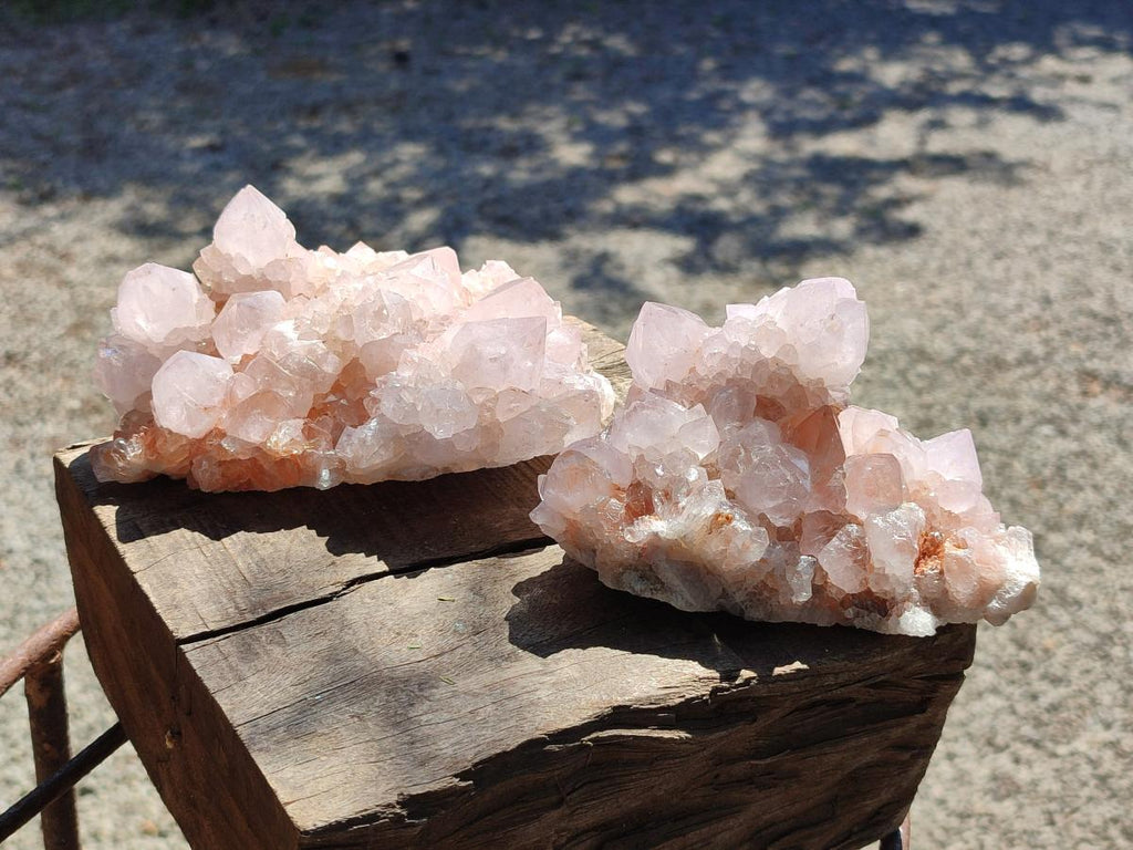 Natural White Cactus Flower Spirit Clusters x 2 From Boekenhouthoek, South Africa - Toprock Gemstones and Minerals 