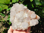 Natural White Cactus Flower Spirit Clusters x 2 From Boekenhouthoek, South Africa - Toprock Gemstones and Minerals 