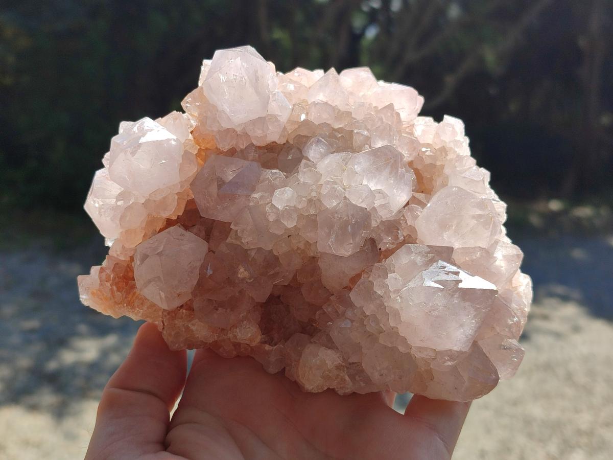 Natural White Cactus Flower Spirit Clusters x 2 From Boekenhouthoek, South Africa - Toprock Gemstones and Minerals 