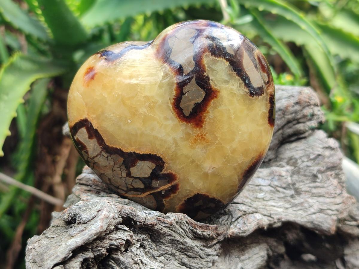 Polished Septerye Hearts x 6 From Mahajanga, Madagascar - Toprock Gemstones and Minerals 