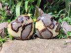 Polished Septerye Hearts x 6 From Mahajanga, Madagascar - Toprock Gemstones and Minerals 