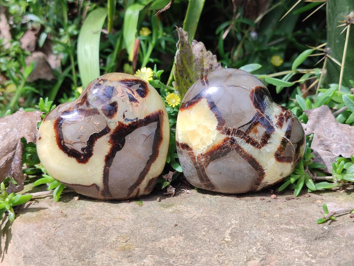 Polished Septerye Hearts x 6 From Mahajanga, Madagascar - Toprock Gemstones and Minerals 