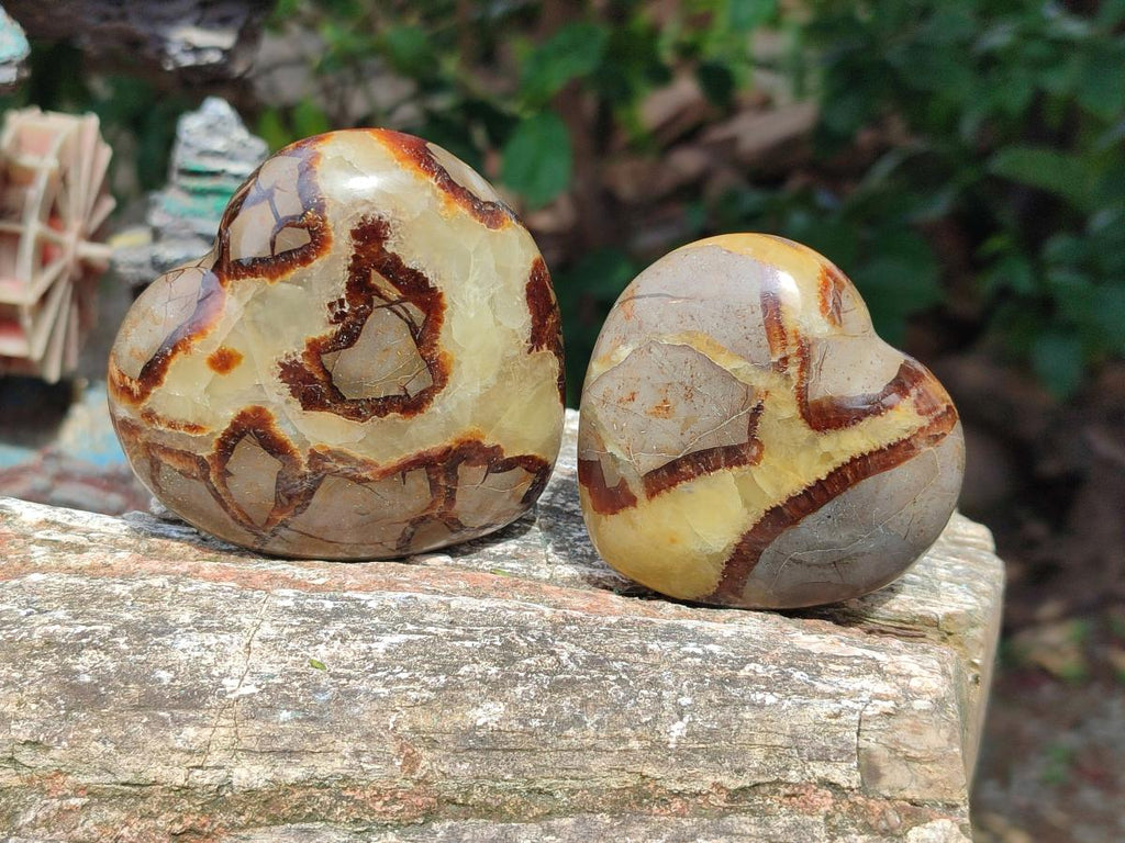 Polished Septerye Hearts x 6 From Mahajanga, Madagascar - Toprock Gemstones and Minerals 