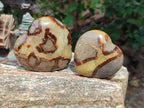 Polished Septerye Hearts x 6 From Mahajanga, Madagascar - Toprock Gemstones and Minerals 