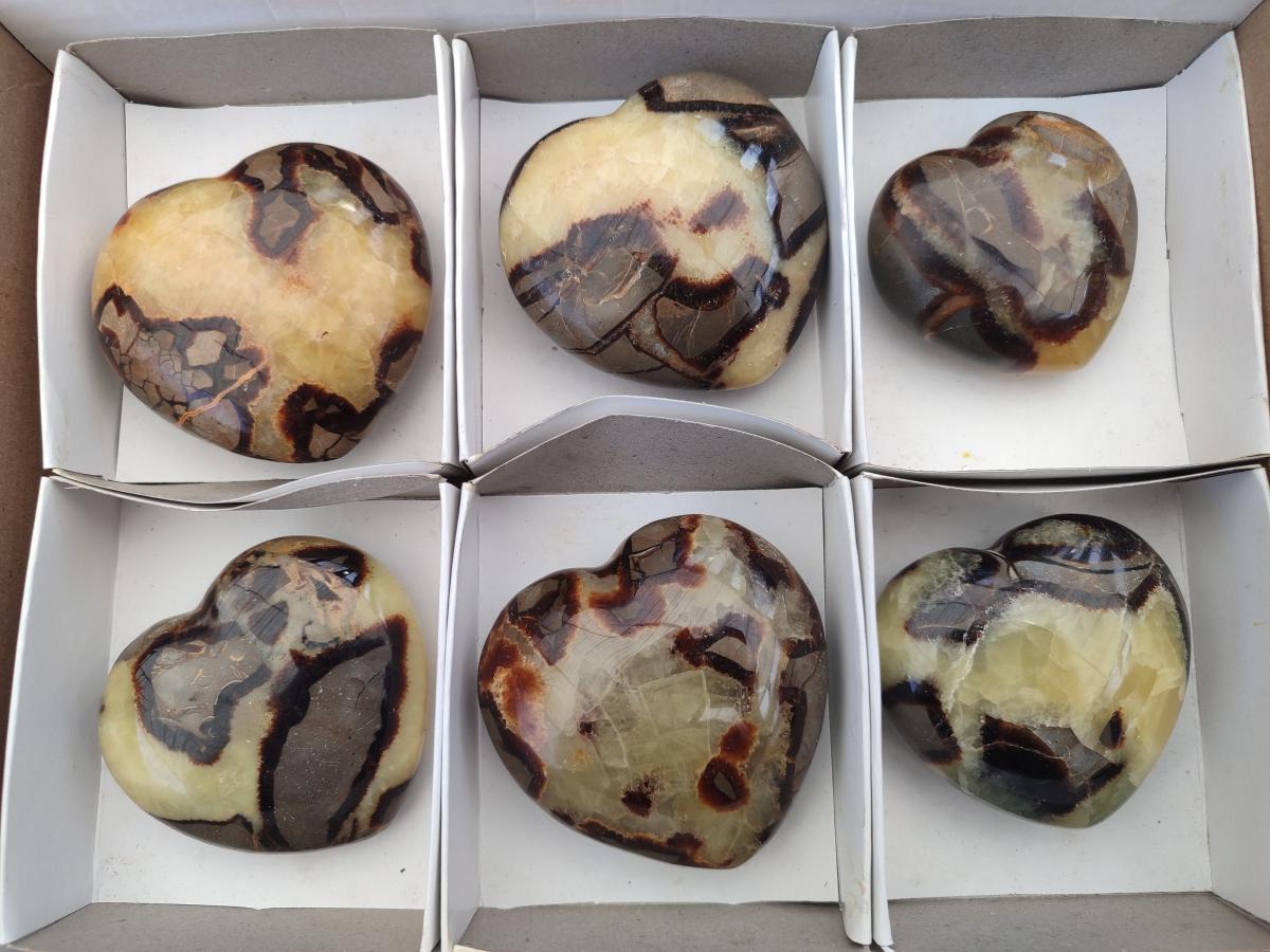 Polished Septerye Hearts x 6 From Mahajanga, Madagascar - Toprock Gemstones and Minerals 