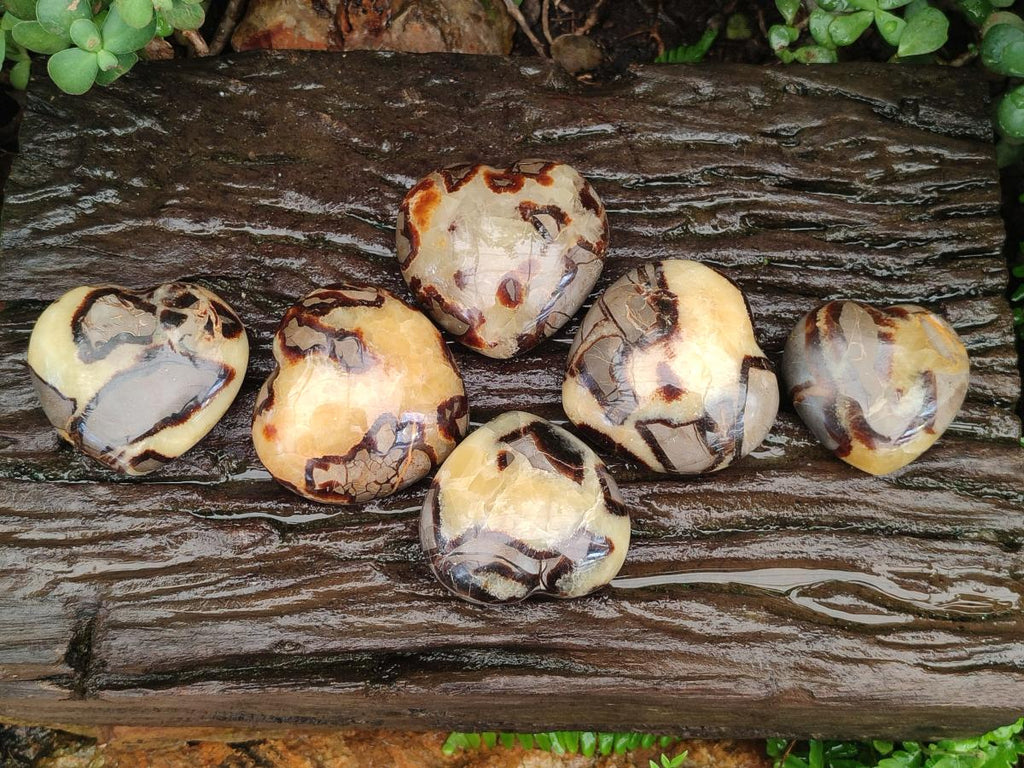 Polished Septerye Hearts x 6 From Mahajanga, Madagascar - Toprock Gemstones and Minerals 