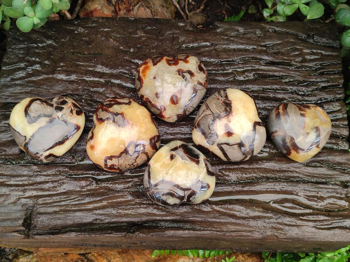 Polished Septerye Hearts x 6 From Mahajanga, Madagascar - Toprock Gemstones and Minerals 