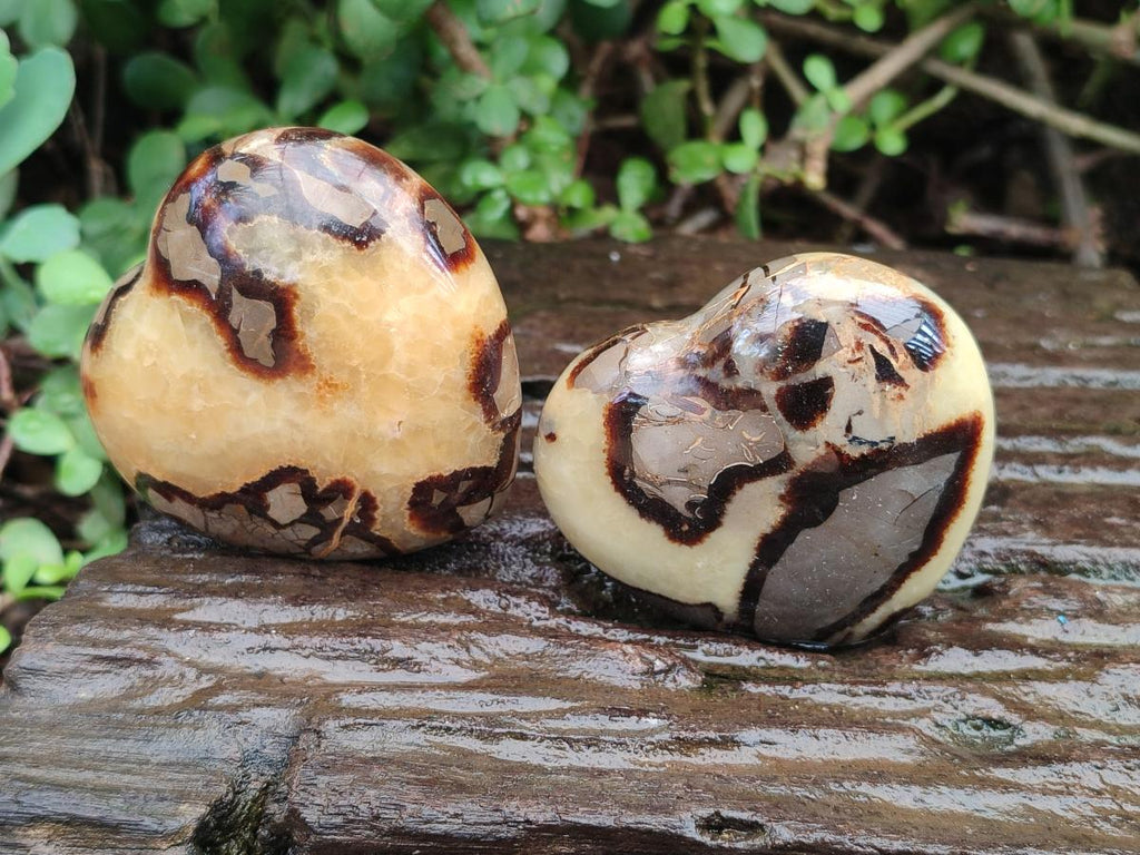 Polished Septerye Hearts x 6 From Mahajanga, Madagascar - Toprock Gemstones and Minerals 