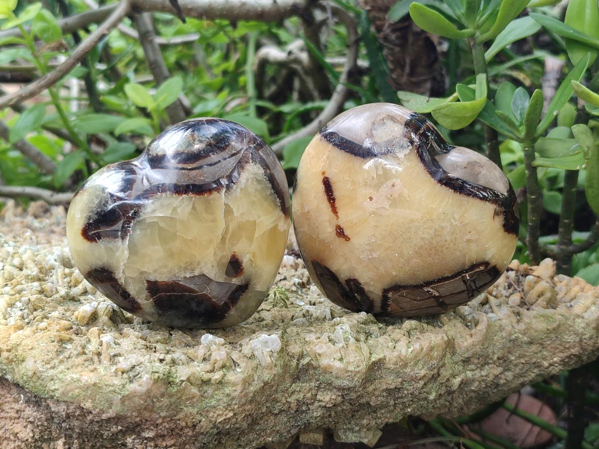 Polished Septerye Hearts x 6 From Mahajanga, Madagascar - Toprock Gemstones and Minerals 