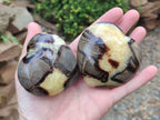 Polished Septerye Hearts x 6 From Mahajanga, Madagascar - Toprock Gemstones and Minerals 