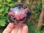 Polished Rhodonite Gemstone Spheres x 3 From Ambindavato, Madagascar - Toprock Gemstones and Minerals 