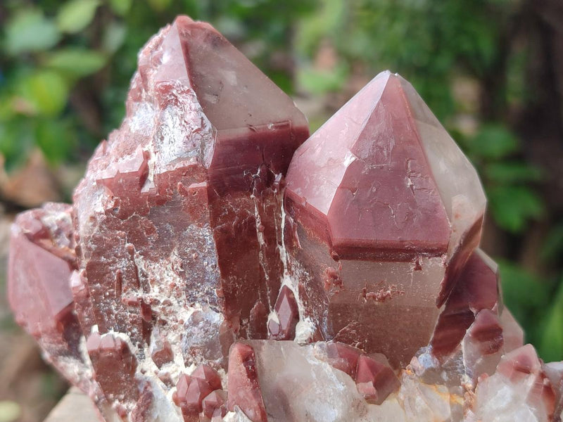 Natural Red Hematoid Quartz Crystals and Clusters x 4 From Karoi, Zimbabwe - Toprock Gemstones and Minerals 