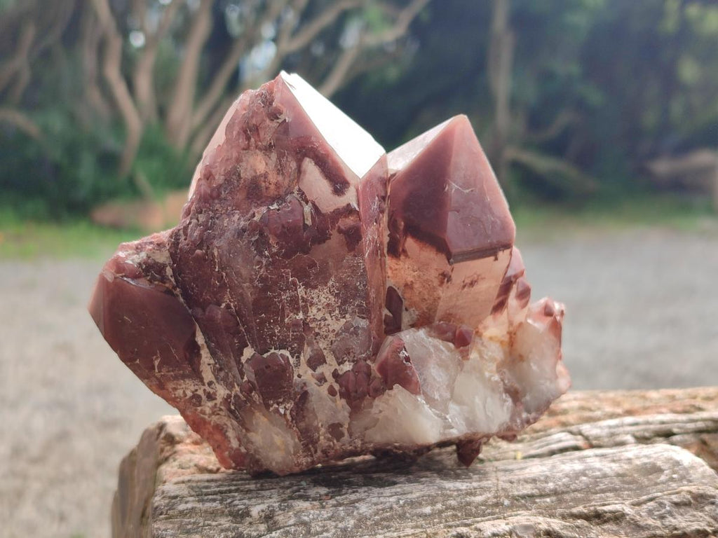 Natural Red Hematoid Quartz Crystals and Clusters x 4 From Karoi, Zimbabwe - Toprock Gemstones and Minerals 