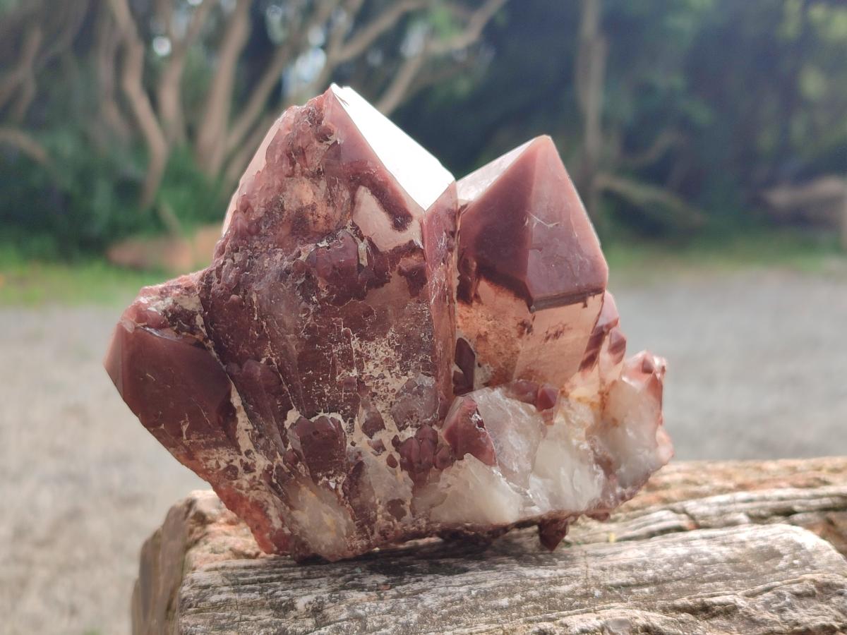 Natural Red Hematoid Quartz Crystals and Clusters x 4 From Karoi, Zimbabwe - Toprock Gemstones and Minerals 
