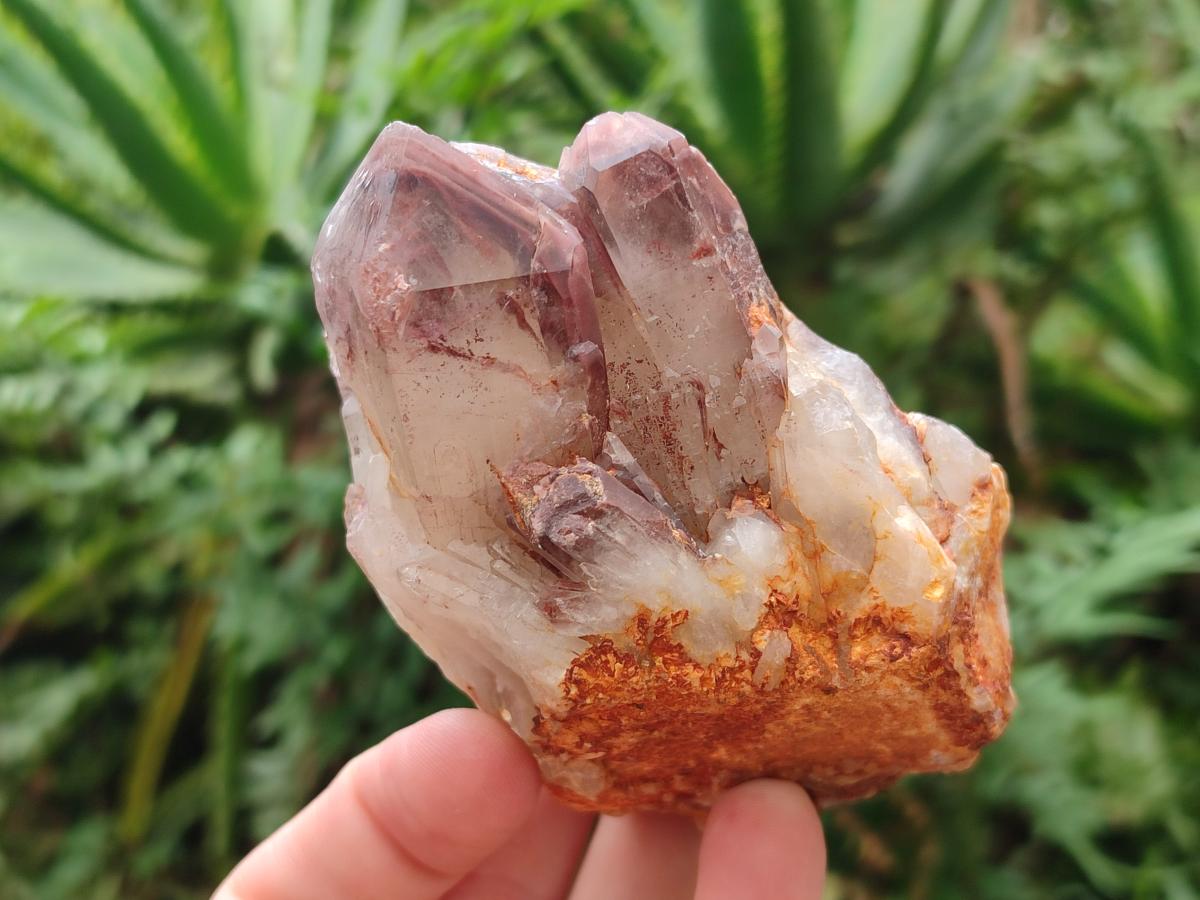 Natural Red Hematoid Quartz Crystals and Clusters x 4 From Karoi, Zimbabwe - Toprock Gemstones and Minerals 
