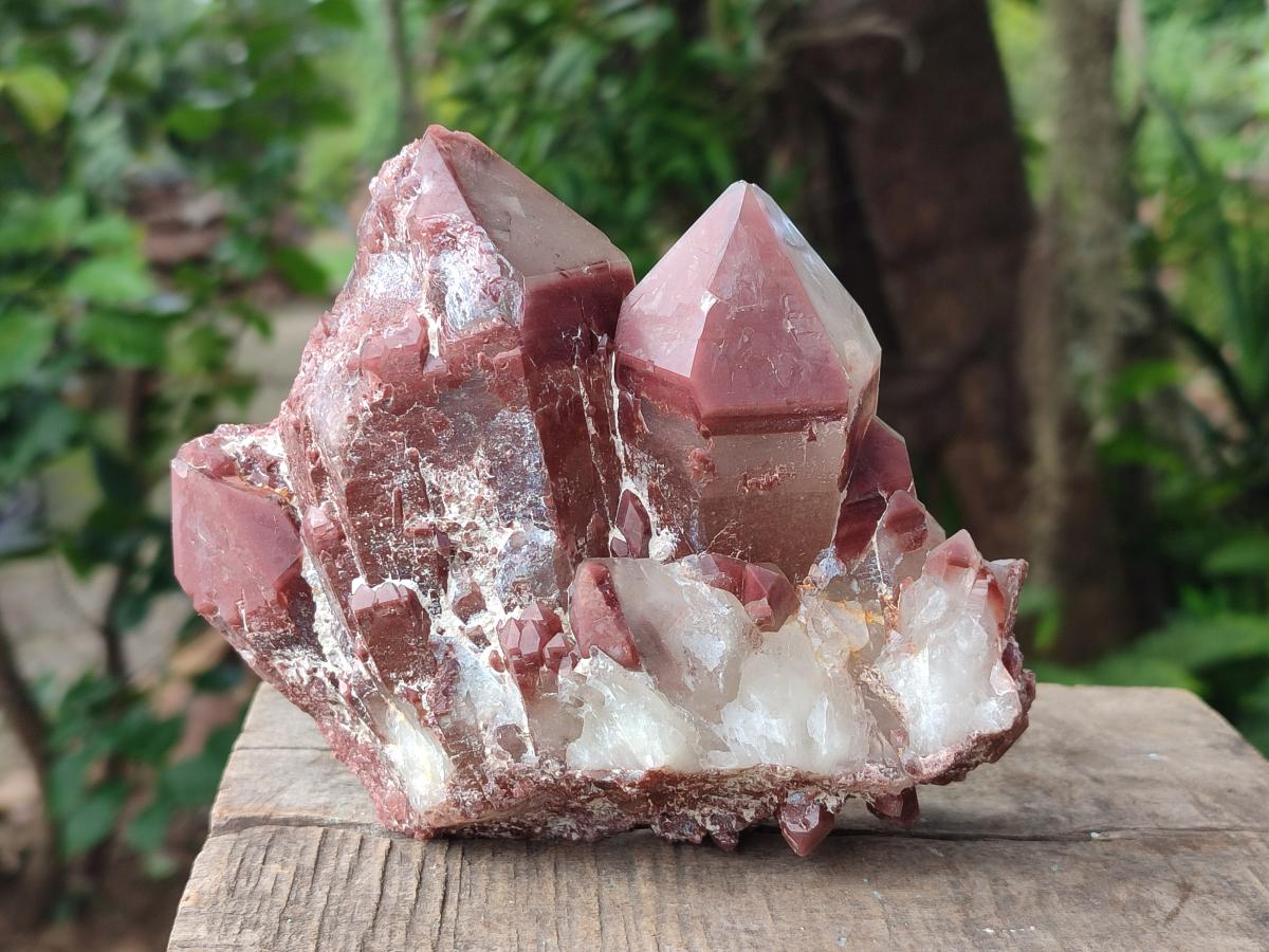 Natural Red Hematoid Quartz Crystals and Clusters x 4 From Karoi, Zimbabwe - Toprock Gemstones and Minerals 