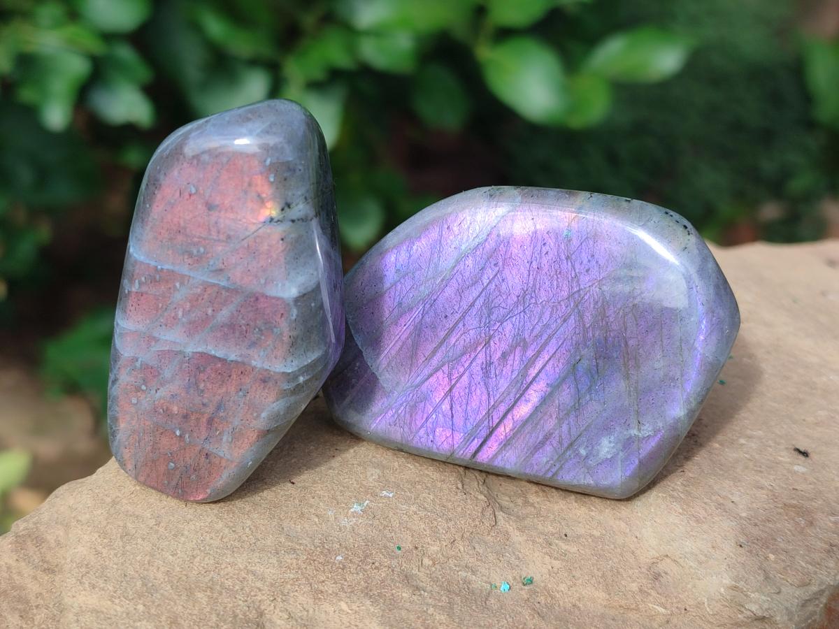 Polished Rare Purple Sunset Flash Labradorite Standing Display Pieces x 12 From Madagascar - Toprock Gemstones and Minerals 