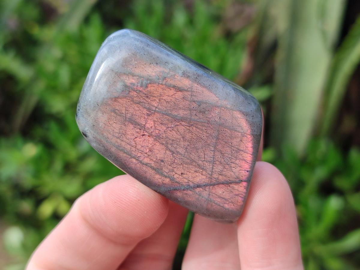 Polished Rare Purple Sunset Flash Labradorite Standing Display Pieces x 12 From Madagascar - Toprock Gemstones and Minerals 