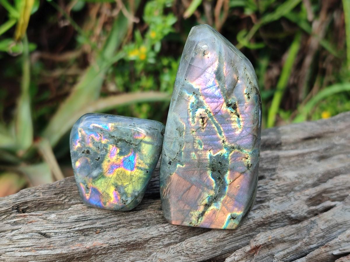 Polished Rare Purple Sunset Flash Labradorite Standing Display Pieces x 12 From Madagascar - Toprock Gemstones and Minerals 