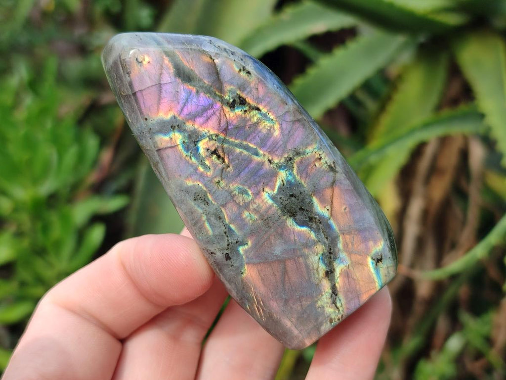 Polished Rare Purple Sunset Flash Labradorite Standing Display Pieces x 12 From Madagascar - Toprock Gemstones and Minerals 