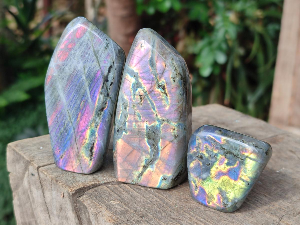 Polished Rare Purple Sunset Flash Labradorite Standing Display Pieces x 12 From Madagascar - Toprock Gemstones and Minerals 