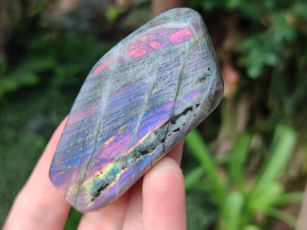 Polished Rare Purple Sunset Flash Labradorite Standing Display Pieces x 12 From Madagascar - Toprock Gemstones and Minerals 