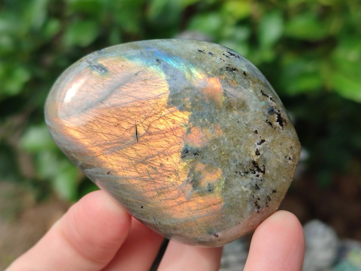 Polished Rare Purple Sunset Flash Labradorite Standing Display Pieces x 12 From Madagascar - Toprock Gemstones and Minerals 
