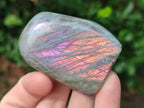 Polished Rare Purple Sunset Flash Labradorite Standing Display Pieces x 12 From Madagascar - Toprock Gemstones and Minerals 