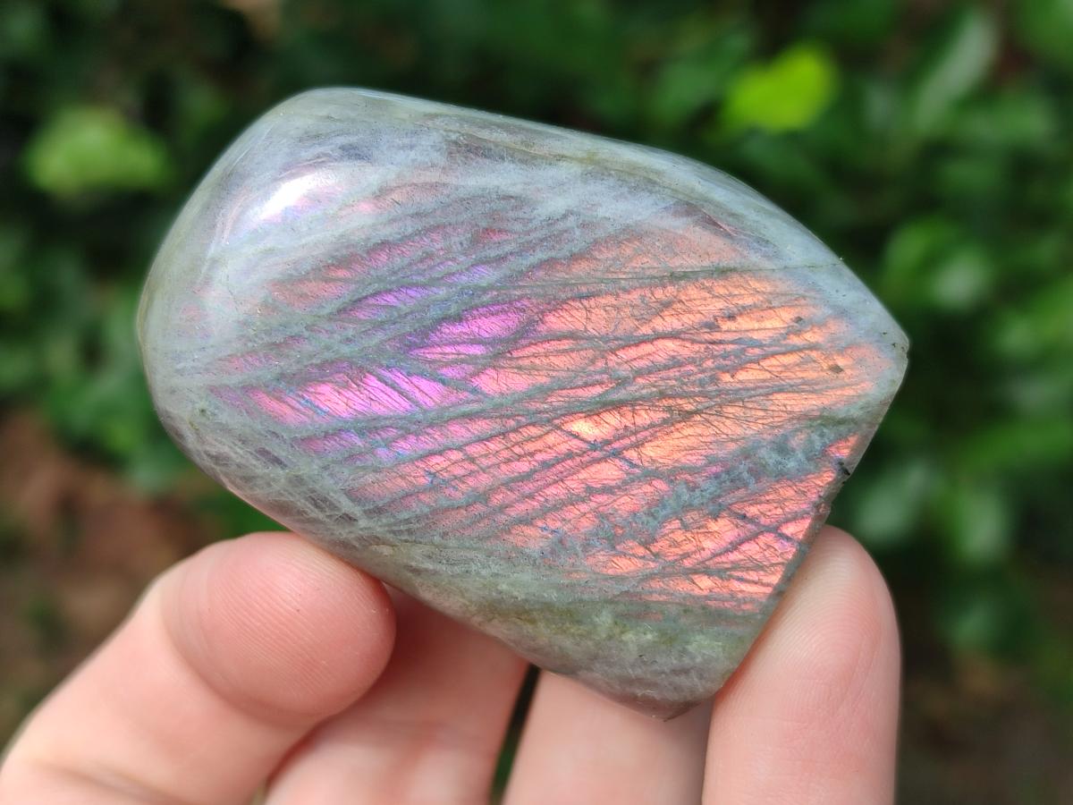 Polished Rare Purple Sunset Flash Labradorite Standing Display Pieces x 12 From Madagascar - Toprock Gemstones and Minerals 