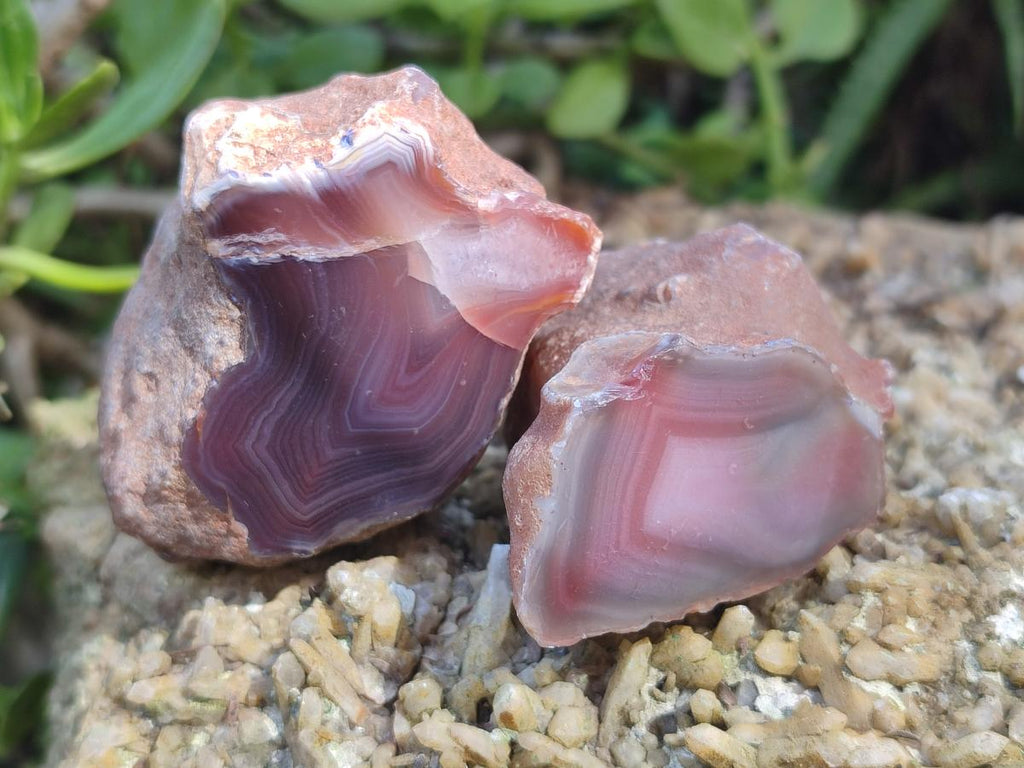 Polished One Side Shashe River Agate Nodules x 24 From Shashe River, Zimbabwe - Toprock Gemstones and Minerals 
