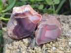 Polished One Side Shashe River Agate Nodules x 24 From Shashe River, Zimbabwe - Toprock Gemstones and Minerals 