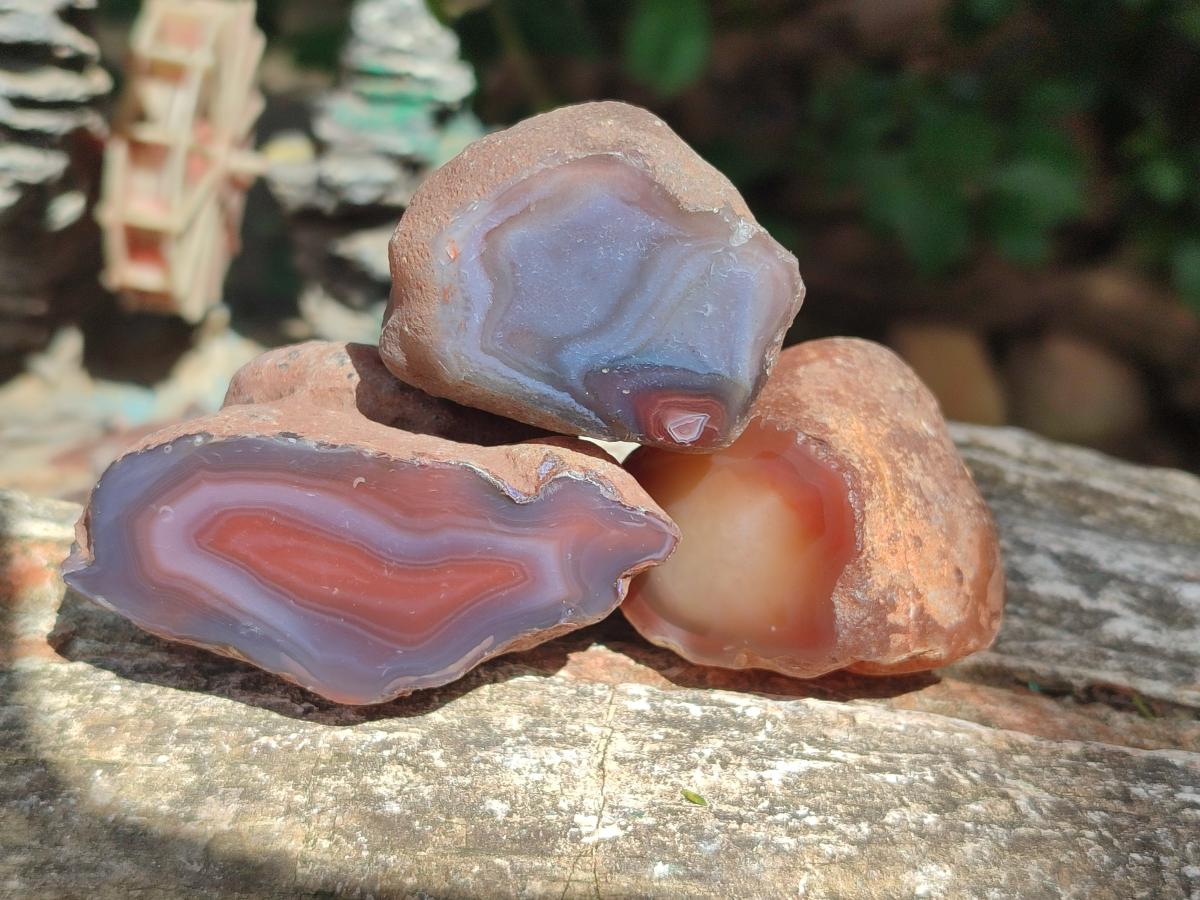 Polished One Side Shashe River Agate Nodules x 24 From Shashe River, Zimbabwe - Toprock Gemstones and Minerals 