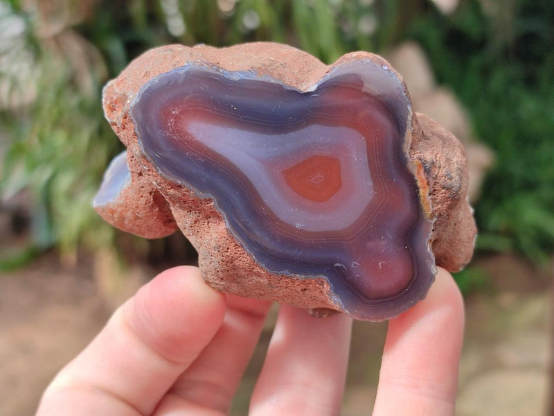 Polished One Side Shashe River Agate Nodules x 24 From Shashe River, Zimbabwe - Toprock Gemstones and Minerals 