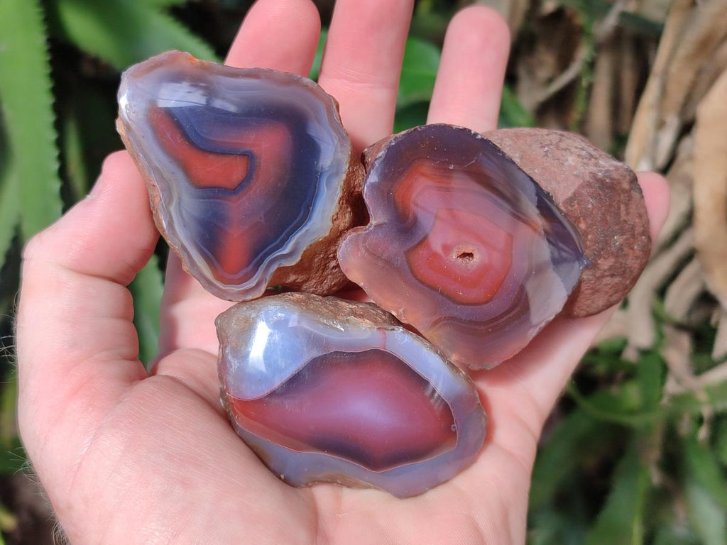 Polished One Side Shashe River Agate Nodules x 24 From Shashe River, Zimbabwe - Toprock Gemstones and Minerals 