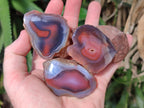 Polished One Side Shashe River Agate Nodules x 24 From Shashe River, Zimbabwe - Toprock Gemstones and Minerals 