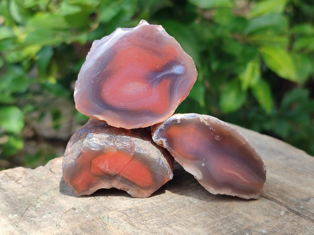 Polished One Side Shashe River Agate Nodules x 24 From Shashe River, Zimbabwe - Toprock Gemstones and Minerals 