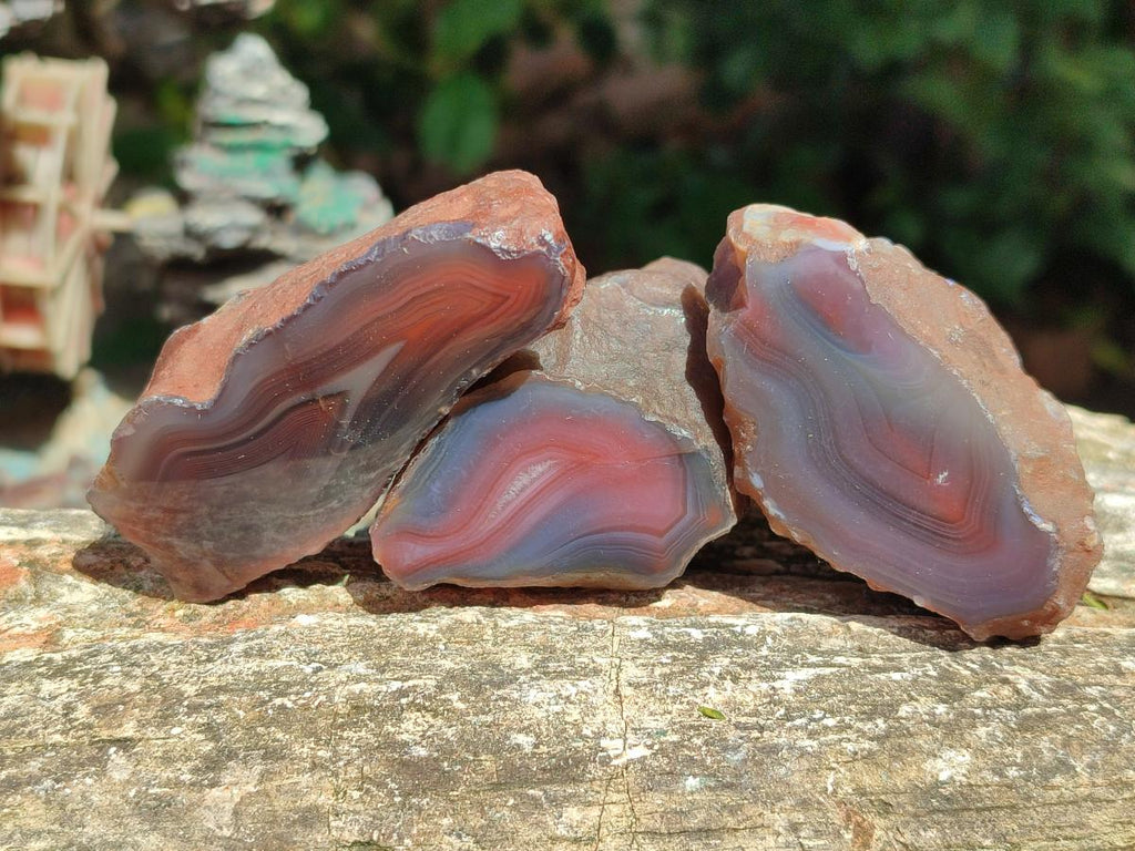 Polished One Side Shashe River Agate Nodules x 24 From Shashe River, Zimbabwe - Toprock Gemstones and Minerals 