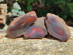 Polished One Side Shashe River Agate Nodules x 24 From Shashe River, Zimbabwe - Toprock Gemstones and Minerals 
