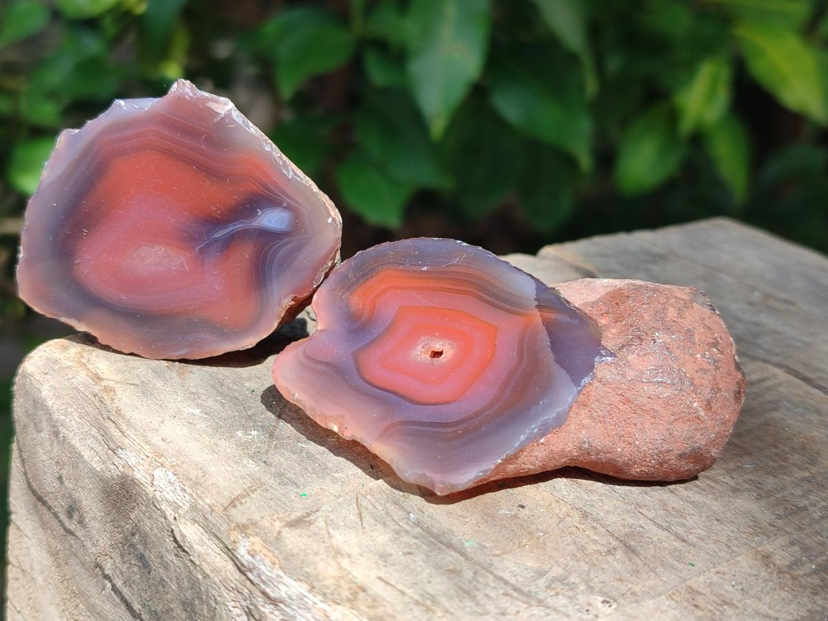 Polished One Side Shashe River Agate Nodules x 24 From Shashe River, Zimbabwe - Toprock Gemstones and Minerals 