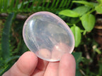 Polished Gemmy Rose Quartz Palm Stones x 35 From Madagascar - Toprock Gemstones and Minerals 