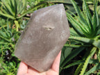 Polished Large Smokey Quartz Crystal x 1 From Angola - Toprock Gemstones and Minerals 