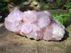 Natural Sunburst Spirit Amethyst Crystal Clusters x 3 From Boekenhouthoek, South Africa - Toprock Gemstones and Minerals 