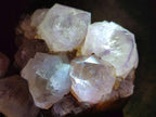 Natural Sunburst Spirit Amethyst Crystal Clusters x 3 From Boekenhouthoek, South Africa - Toprock Gemstones and Minerals 