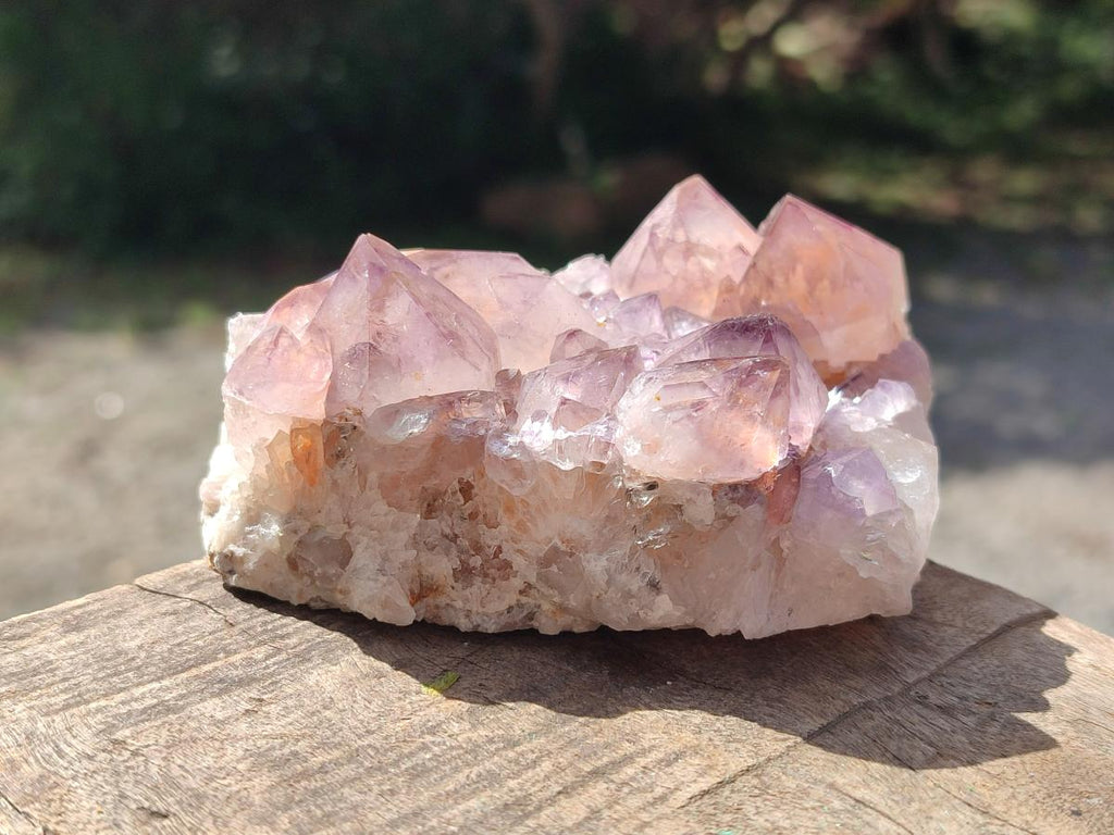 Natural Sunburst Spirit Amethyst Crystal Clusters x 3 From Boekenhouthoek, South Africa - Toprock Gemstones and Minerals 