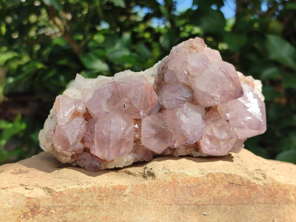 Natural Sunburst Spirit Amethyst Crystal Clusters x 3 From Boekenhouthoek, South Africa - Toprock Gemstones and Minerals 