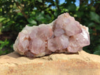 Natural Sunburst Spirit Amethyst Crystal Clusters x 3 From Boekenhouthoek, South Africa - Toprock Gemstones and Minerals 