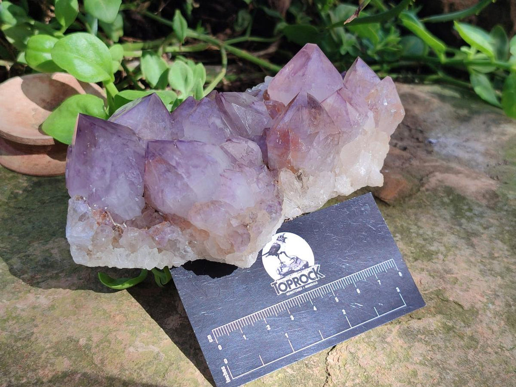 Natural Sunburst Spirit Amethyst Crystal Clusters x 3 From Boekenhouthoek, South Africa - Toprock Gemstones and Minerals 