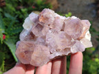 Natural Sunburst Spirit Amethyst Crystal Clusters x 3 From Boekenhouthoek, South Africa - Toprock Gemstones and Minerals 