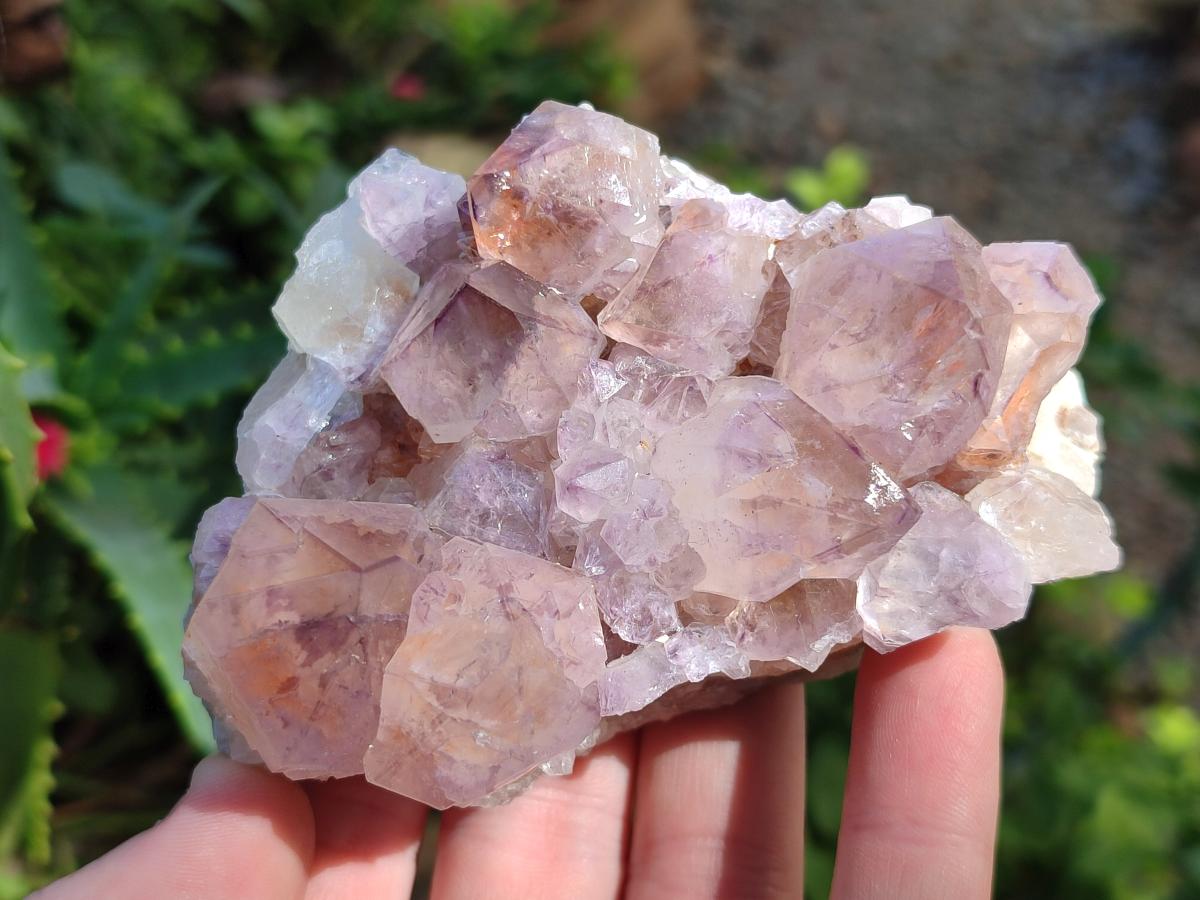 Natural Sunburst Spirit Amethyst Crystal Clusters x 3 From Boekenhouthoek, South Africa - Toprock Gemstones and Minerals 
