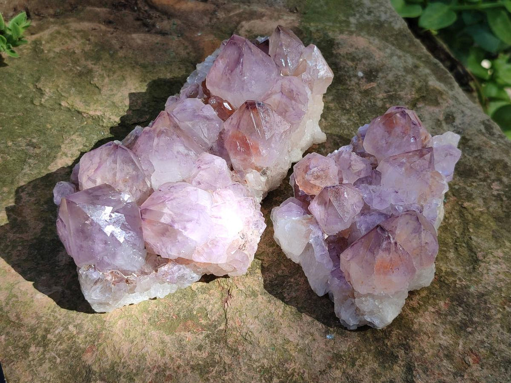 Natural Sunburst Spirit Amethyst Crystal Clusters x 3 From Boekenhouthoek, South Africa - Toprock Gemstones and Minerals 